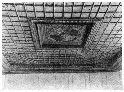 Плафон арбанасского дома Плафон арбанасского дома