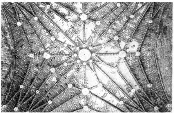 Цесис. Замок. Свод в помещении магистра ордена, 1-я половина XIII в.